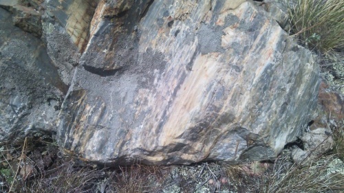 Гигантские зелёные валуны для ландшафтного дизайна весом более 5 тонн купить в Ликино-Дулёво