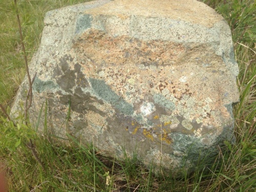 Гигантские зелёные валуны для ландшафтного дизайна весом более 5 тонн купить в Ликино-Дулёво